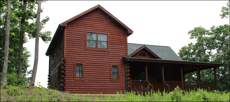 Professional Log Home Borate Application  Hillsville, Virginia